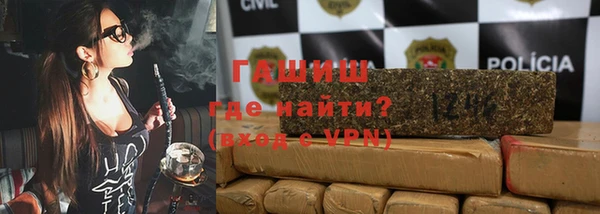 сатива Беломорск