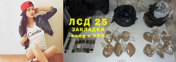 сатива Беломорск