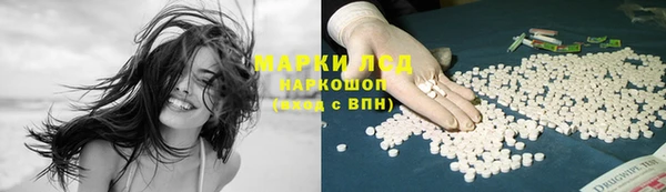 сатива Беломорск