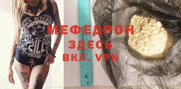 сатива Беломорск