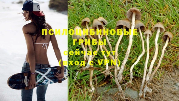 кокаин VHQ Белокуриха
