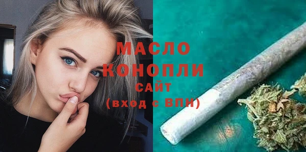 сатива Беломорск