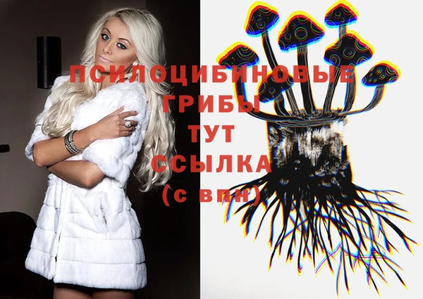 сатива Беломорск