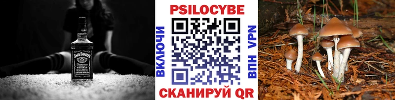 что такое   Мглин  блэк спрут зеркало  Псилоцибиновые грибы прущие грибы 